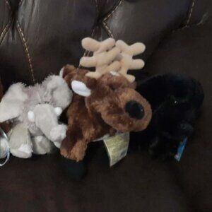 Webkinz For Sale $10 each!